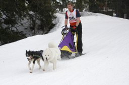 San Bernardino 2011